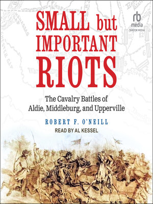 cover image of Small but Important Riots